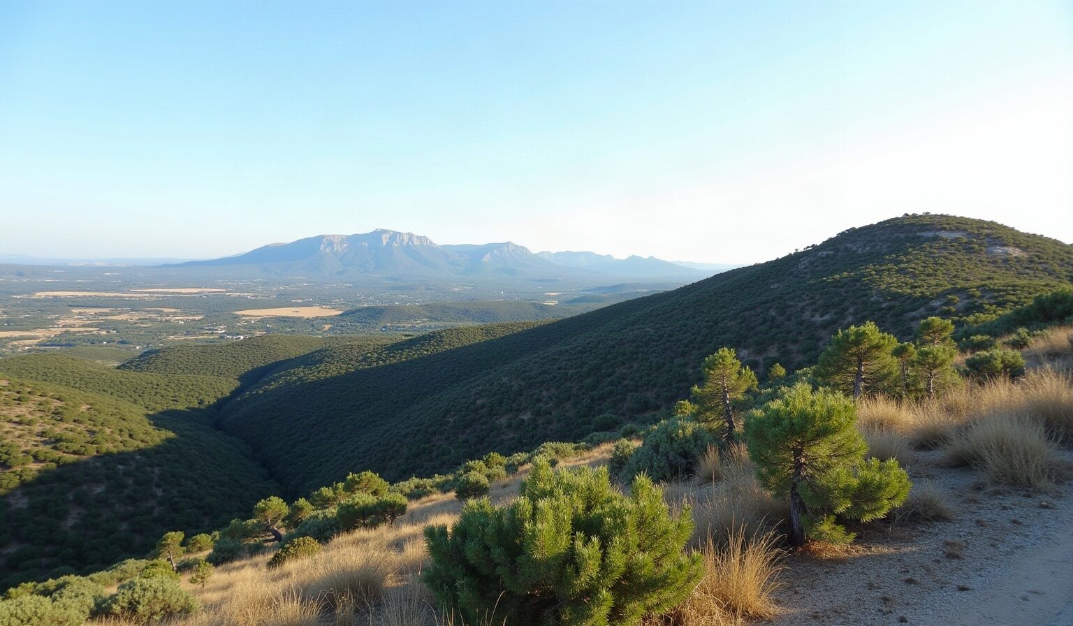 La montagne Sainte-Victoire vue depuis les hauteurs du pays d'Aix, crête calcaire au-dessus de la garrigue