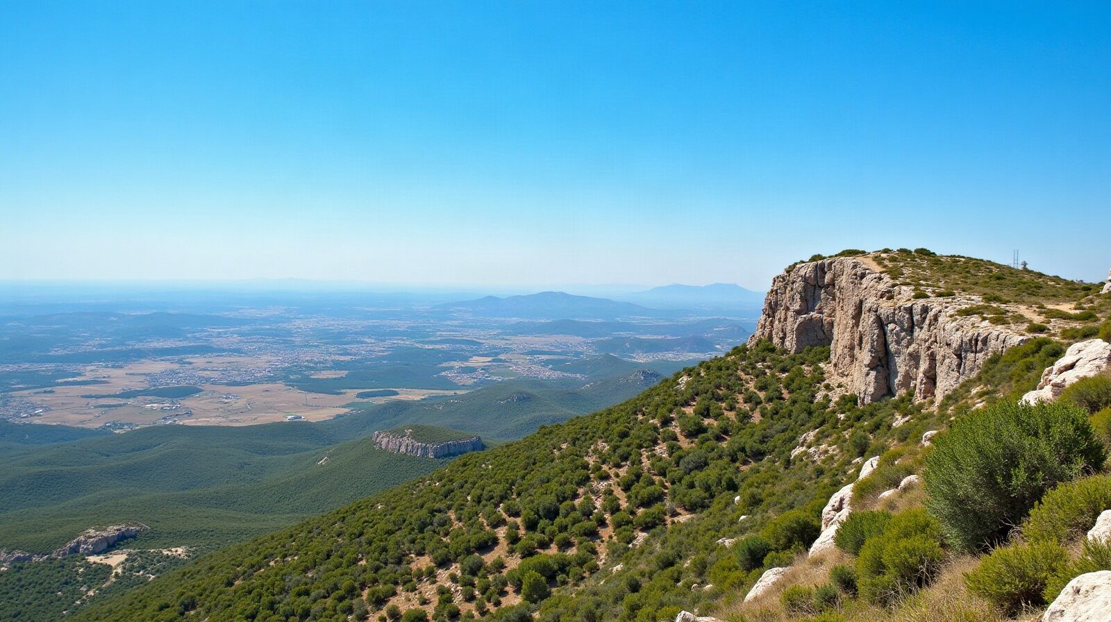 Vue depuis une crête dénudée de la Sainte-Victoire sur la plaine d'Aix, calcaire clair, garrigue et pinède en contrebas, plein soleil d'été